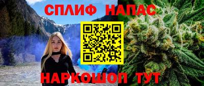 тгк Бийск