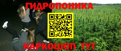 каннабис Берёзовский