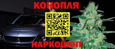 тгк Бийск