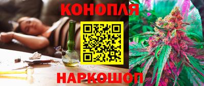 индика Беслан
