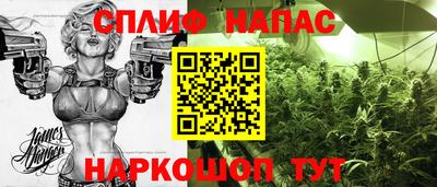 индика Беслан