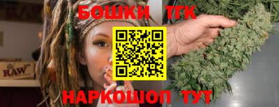 тгк Бийск