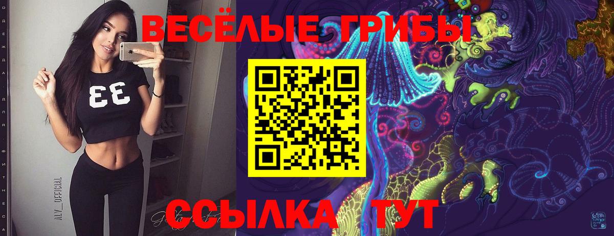Карпинск  Псилоцибиновые грибы прущие грибы  Вход с VPN 